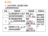 人教版七年级上册生物习题课件 第3单元 3.5.1 光合作用吸收二氧化碳释放氧气0