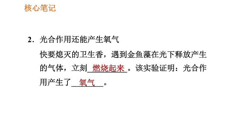 人教版七年级上册生物习题课件 第3单元 3.5.1 光合作用吸收二氧化碳释放氧气004