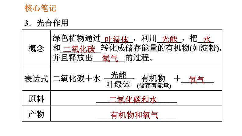 人教版七年级上册生物习题课件 第3单元 3.5.1 光合作用吸收二氧化碳释放氧气005