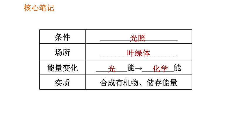 人教版七年级上册生物习题课件 第3单元 3.5.1 光合作用吸收二氧化碳释放氧气006