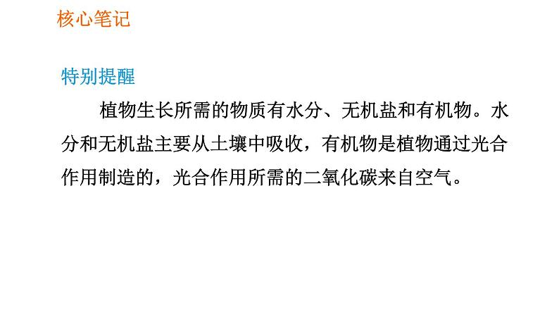 人教版七年级上册生物习题课件 第3单元 3.5.1 光合作用吸收二氧化碳释放氧气007