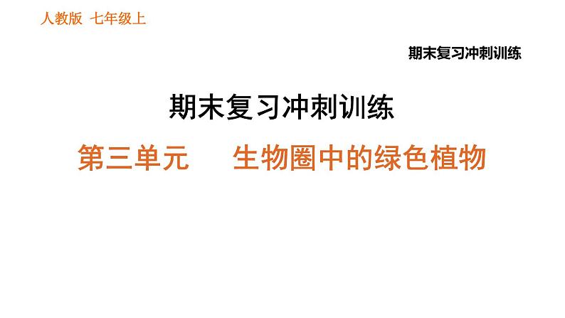 人教版七年级上册生物习题课件 期末复习 第三单元 生物圈中的绿色植物第1页