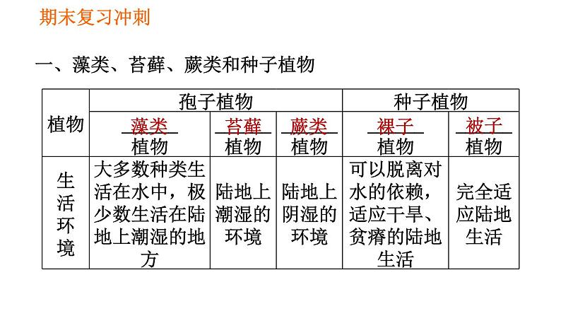 人教版七年级上册生物习题课件 期末复习 第三单元 生物圈中的绿色植物第2页