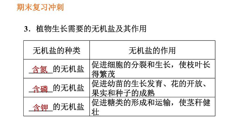 人教版七年级上册生物习题课件 期末复习 第三单元 生物圈中的绿色植物第8页