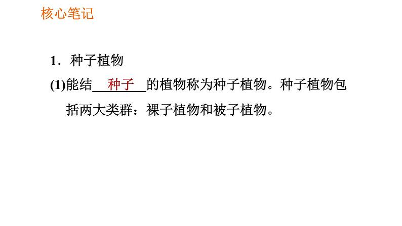 人教版七年级上册生物习题课件 第3单元 3.1.2.2 裸子植物和被子植物002