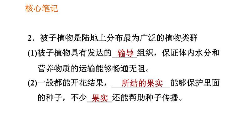 人教版七年级上册生物习题课件 第3单元 3.1.2.2 裸子植物和被子植物005