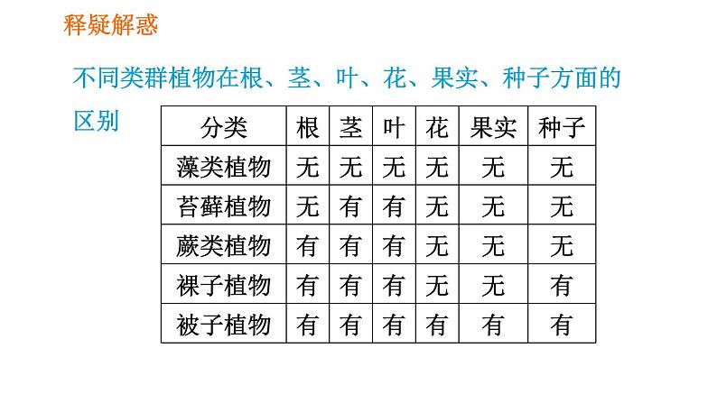 人教版七年级上册生物习题课件 第3单元 3.1.2.2 裸子植物和被子植物006