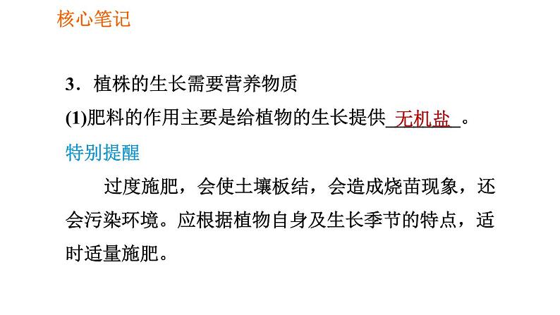 人教版七年级上册生物习题课件 第3单元 3.2.2 植株的生长004