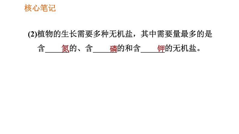 人教版七年级上册生物习题课件 第3单元 3.2.2 植株的生长005