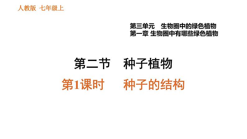 人教版七年级上册生物习题课件 第3单元 3.1.2.1 种子的结构01