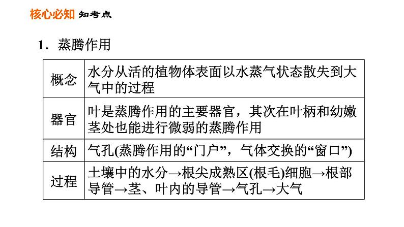 人教版七年级上册生物习题课件 第3单元 第三～六章巩固强化复习训练03