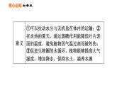 人教版七年级上册生物习题课件 第3单元 第三～六章巩固强化复习训练