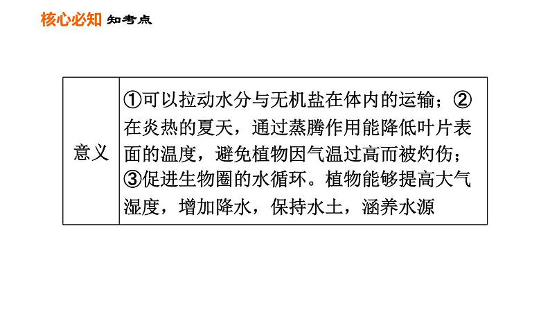 人教版七年级上册生物习题课件 第3单元 第三～六章巩固强化复习训练04