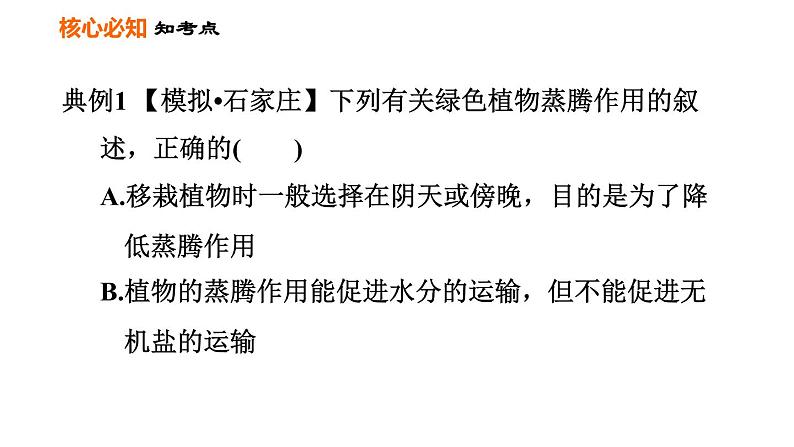 人教版七年级上册生物习题课件 第3单元 第三～六章巩固强化复习训练06