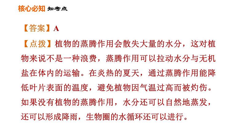 人教版七年级上册生物习题课件 第3单元 第三～六章巩固强化复习训练08