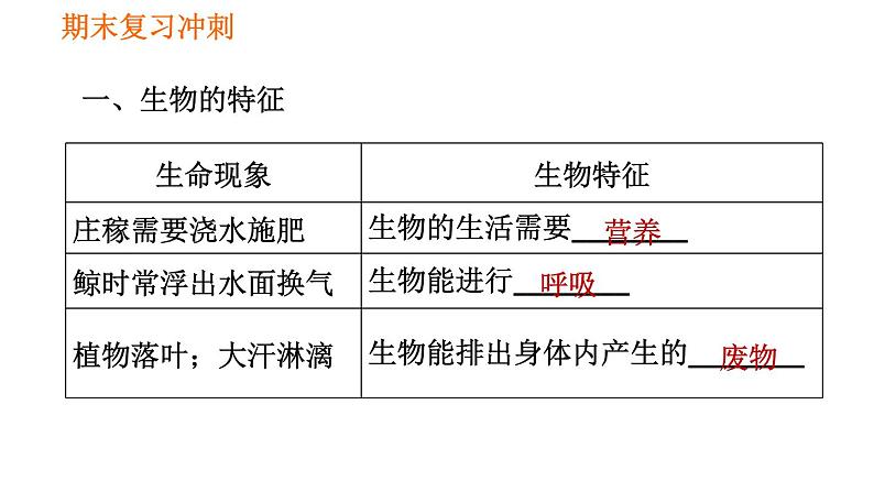 人教版七年级上册生物 期末复习 习题课件02