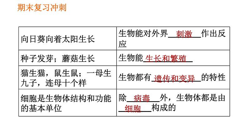 人教版七年级上册生物 期末复习 习题课件03