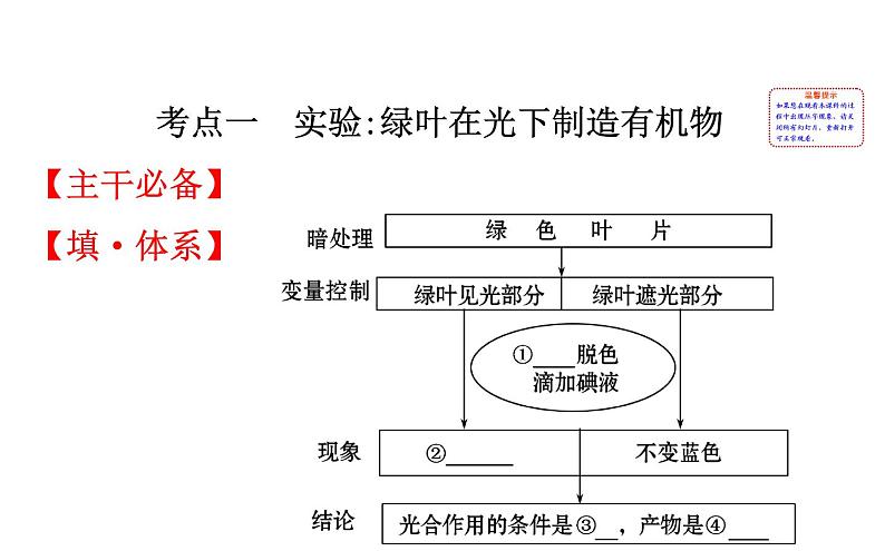 2021-2022学年人教版生物中考复习之绿色植物是生物圈中有机物的制造者  绿色植物与生物圈中的碳-氧平衡  爱护植被,绿化祖国课件PPT02