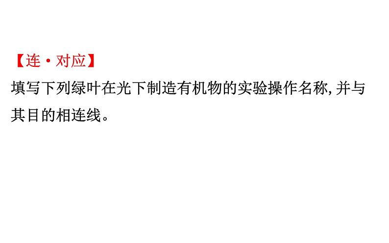 2021-2022学年人教版生物中考复习之绿色植物是生物圈中有机物的制造者  绿色植物与生物圈中的碳-氧平衡  爱护植被,绿化祖国课件PPT04