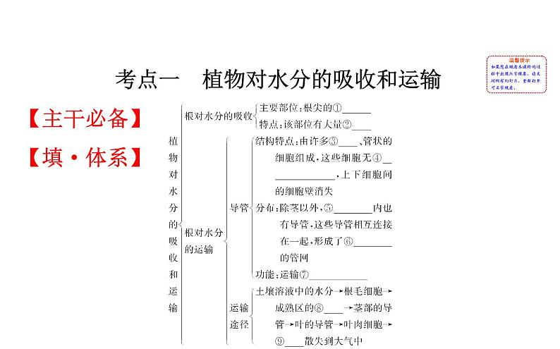 2021-2022学年人教版生物中考复习之绿色植物与生物圈的水循环课件PPT02