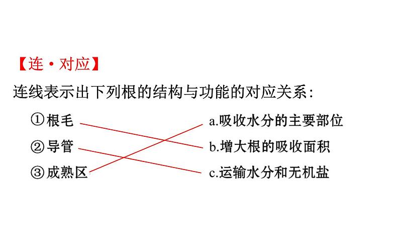 2021-2022学年人教版生物中考复习之绿色植物与生物圈的水循环课件PPT03