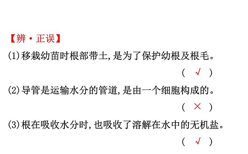 2021-2022学年人教版生物中考复习之绿色植物与生物圈的水循环课件PPT04