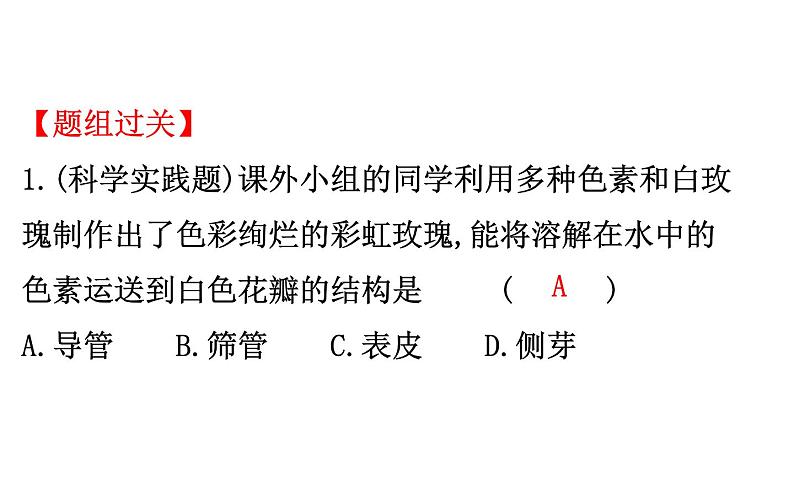 2021-2022学年人教版生物中考复习之绿色植物与生物圈的水循环课件PPT05