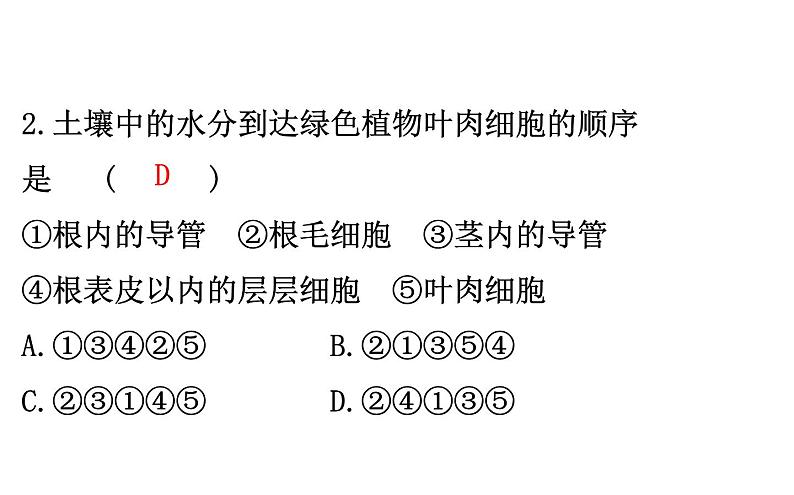 2021-2022学年人教版生物中考复习之绿色植物与生物圈的水循环课件PPT06