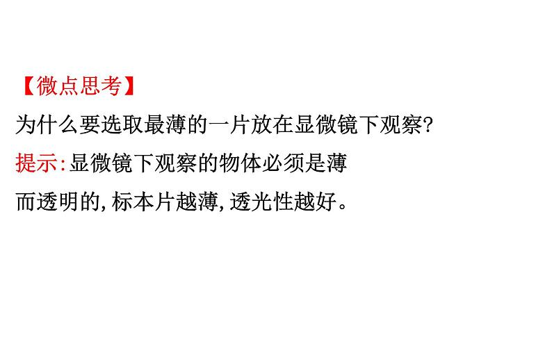 2021-2022学年人教版生物中考复习之绿色植物与生物圈的水循环课件PPT08