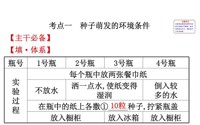 2021-2022学年人教版生物中考复习之被子植物的一生课件PPT02