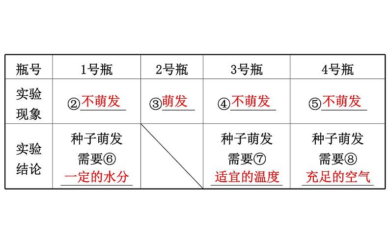 2021-2022学年人教版生物中考复习之被子植物的一生课件PPT03