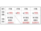 2021-2022学年人教版生物中考复习之被子植物的一生课件PPT