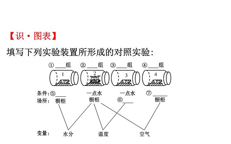 2021-2022学年人教版生物中考复习之被子植物的一生课件PPT05