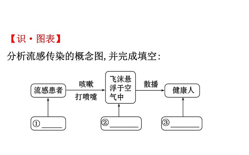 2021-2022学年人教版生物中考复习之健康地生活课件PPT第4页