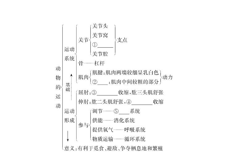 2021-2022学年人教版生物中考复习之动物的运动和行为&5.3动物在生物圈中的作用课件PPT03