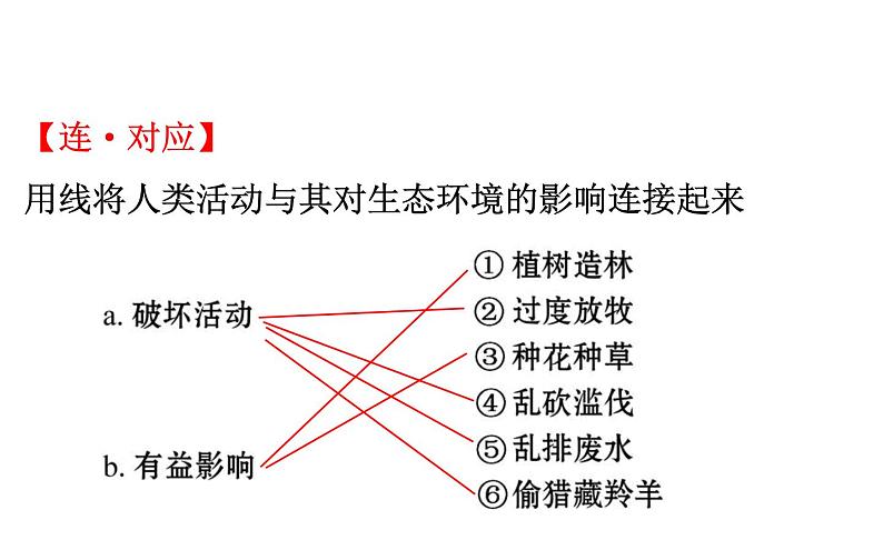 2021-2022学年人教版生物中考复习之人类活动对生物圈的影响课件PPT03