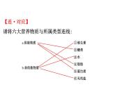 2021-2022学年人教版生物中考复习之人体的营养课件PPT