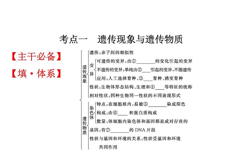 2021-2022学年人教版生物中考复习之生物的遗传与变异课件PPT02