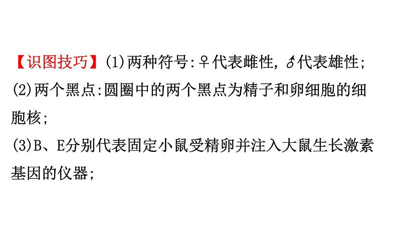 2021-2022学年人教版生物中考复习之生物的遗传与变异课件PPT06