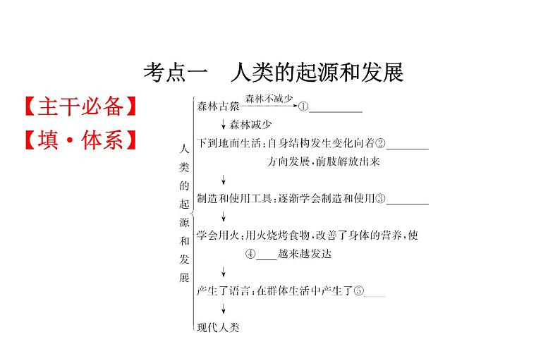 2021-2022学年人教版生物中考复习之人的由来课件PPT02