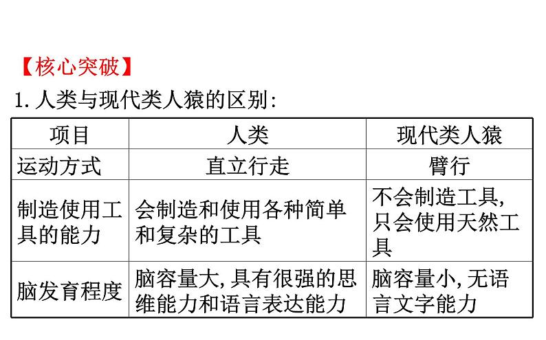 2021-2022学年人教版生物中考复习之人的由来课件PPT05