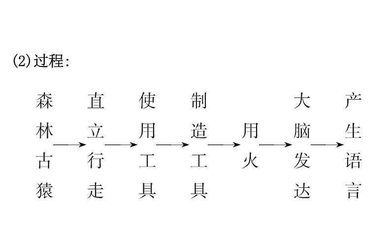 2021-2022学年人教版生物中考复习之人的由来课件PPT08