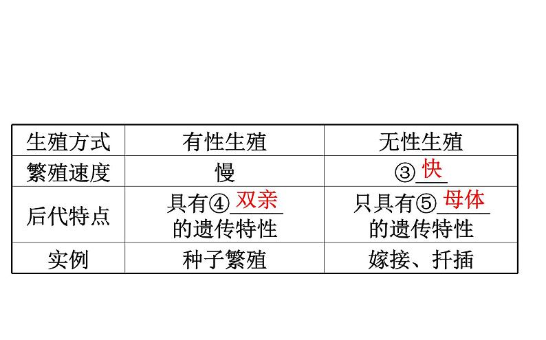 2021-2022学年人教版生物中考复习之生物的生殖和发育课件PPT03