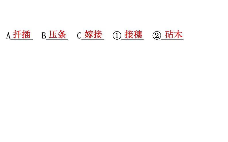 2021-2022学年人教版生物中考复习之生物的生殖和发育课件PPT06