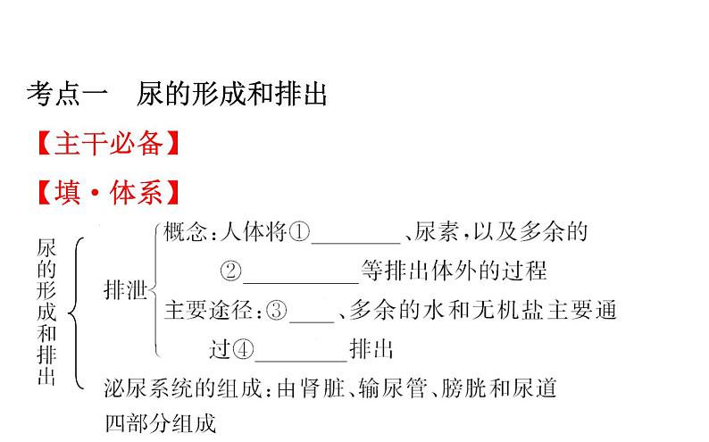 2021-2022学年人教版生物中考复习之人体内废物的排出课件PPT第2页