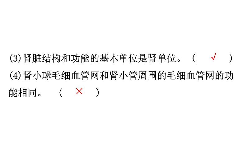 2021-2022学年人教版生物中考复习之人体内废物的排出课件PPT第8页