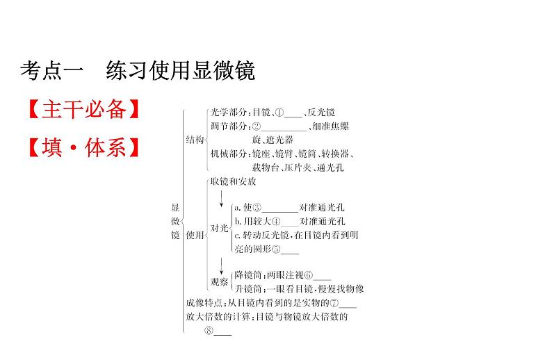 2021-2022学年人教版生物中考复习之细胞是生命活动的基本单位课件PPT第2页