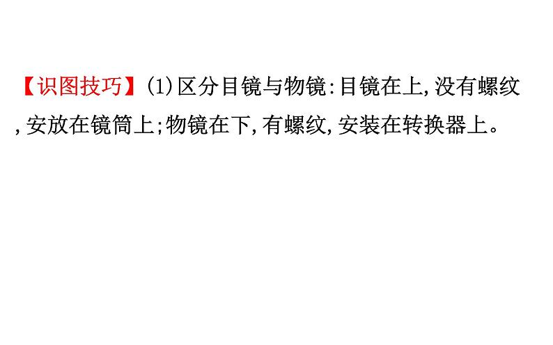 2021-2022学年人教版生物中考复习之细胞是生命活动的基本单位课件PPT第4页