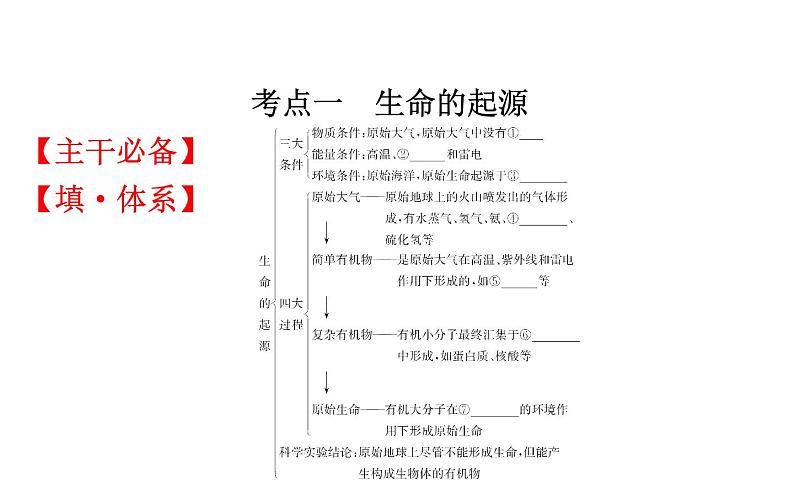 2021-2022学年人教版生物中考复习之生命起源和生物进化课件PPT02