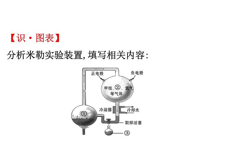 2021-2022学年人教版生物中考复习之生命起源和生物进化课件PPT03